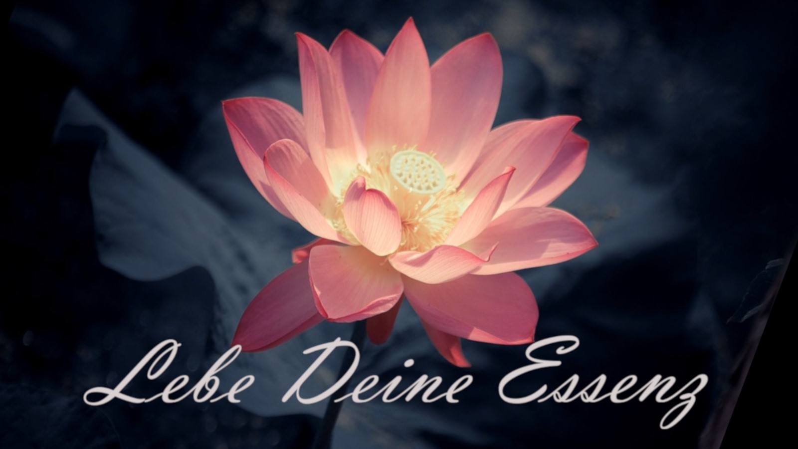 Intensivwoche Holotropes Atmen & spirituelle Praxis mit Susanne & Kalyan