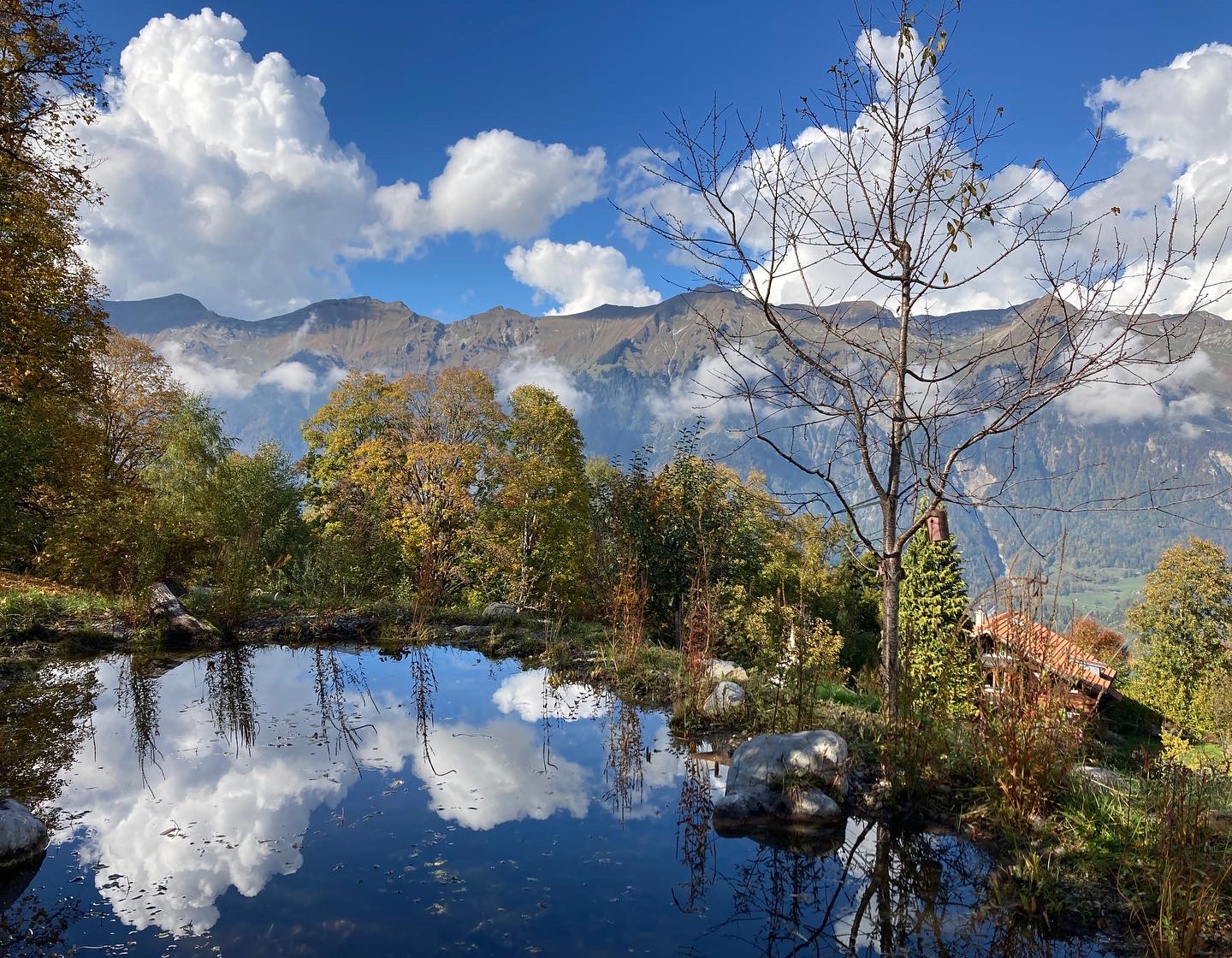 "Dhyana-Meditationsretreat" Aus-und Weiterbildung mit Barbara Burkhardt