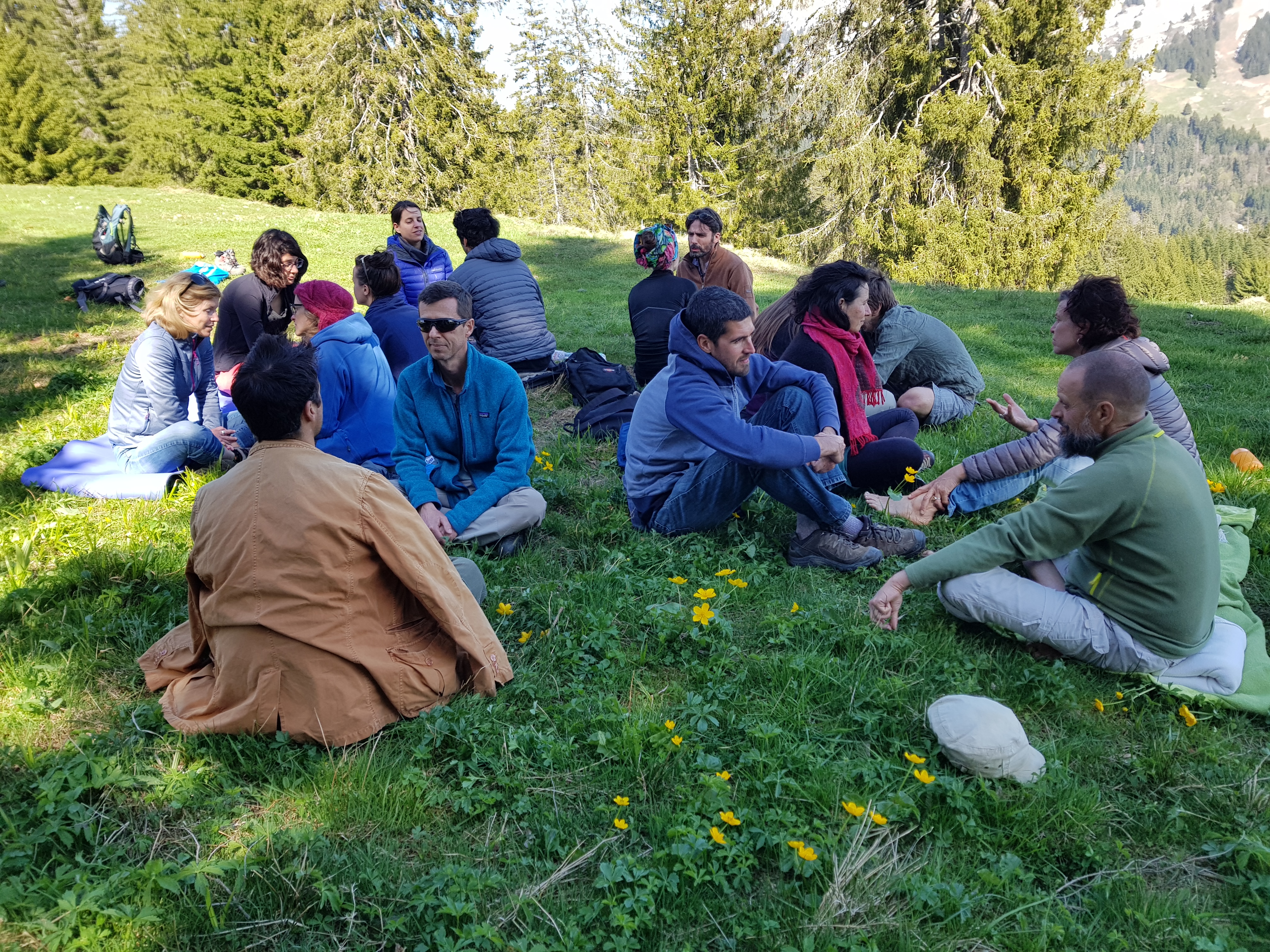 Work that Reconnects