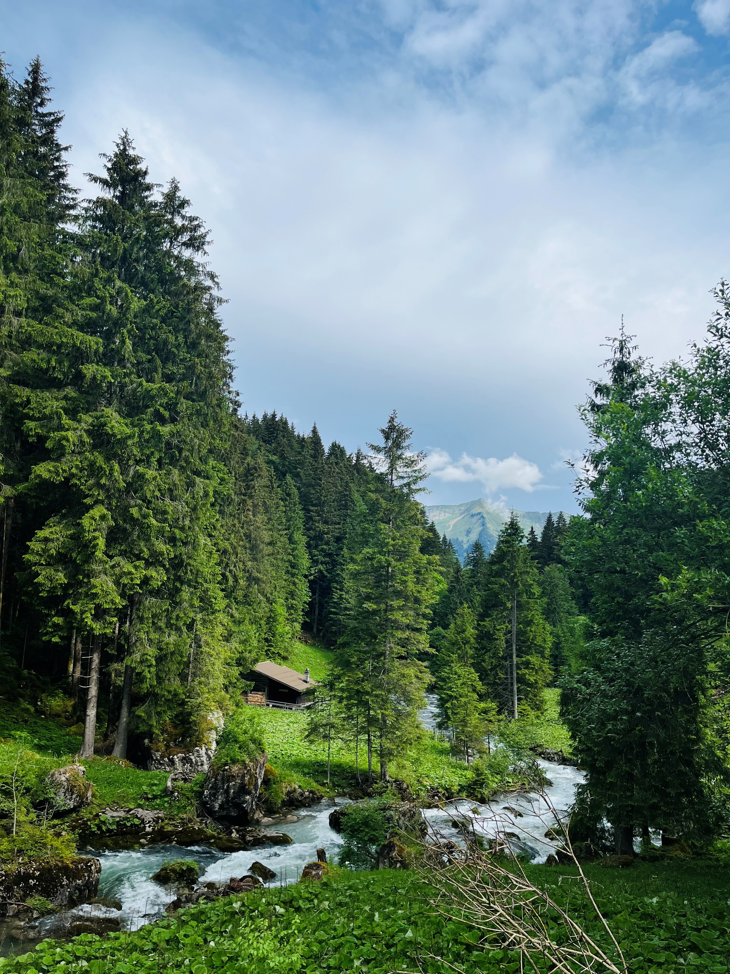 YOGA & NATUR RETREAT - In Verbindung. Mit deinem Körper. Mit der Natur. Mit dir.