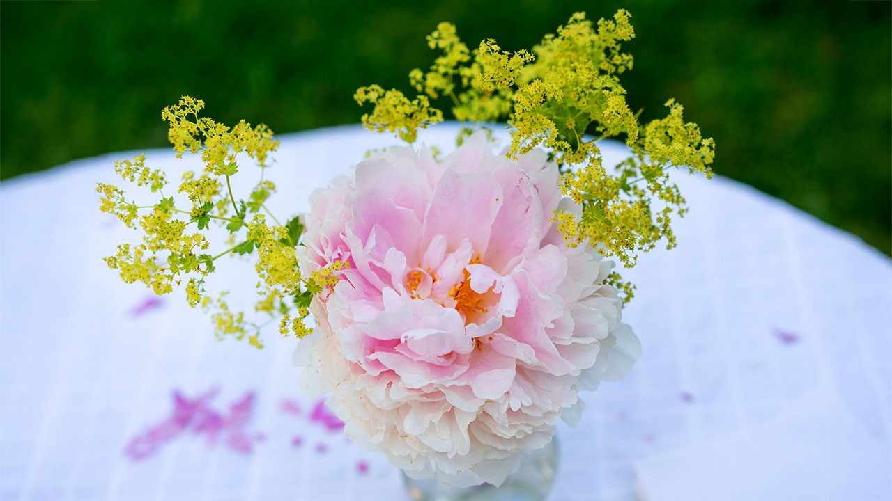 Der magische Küchentisch - Destillations-Aufbaukurs mit Susanne Fischer-Rizzi